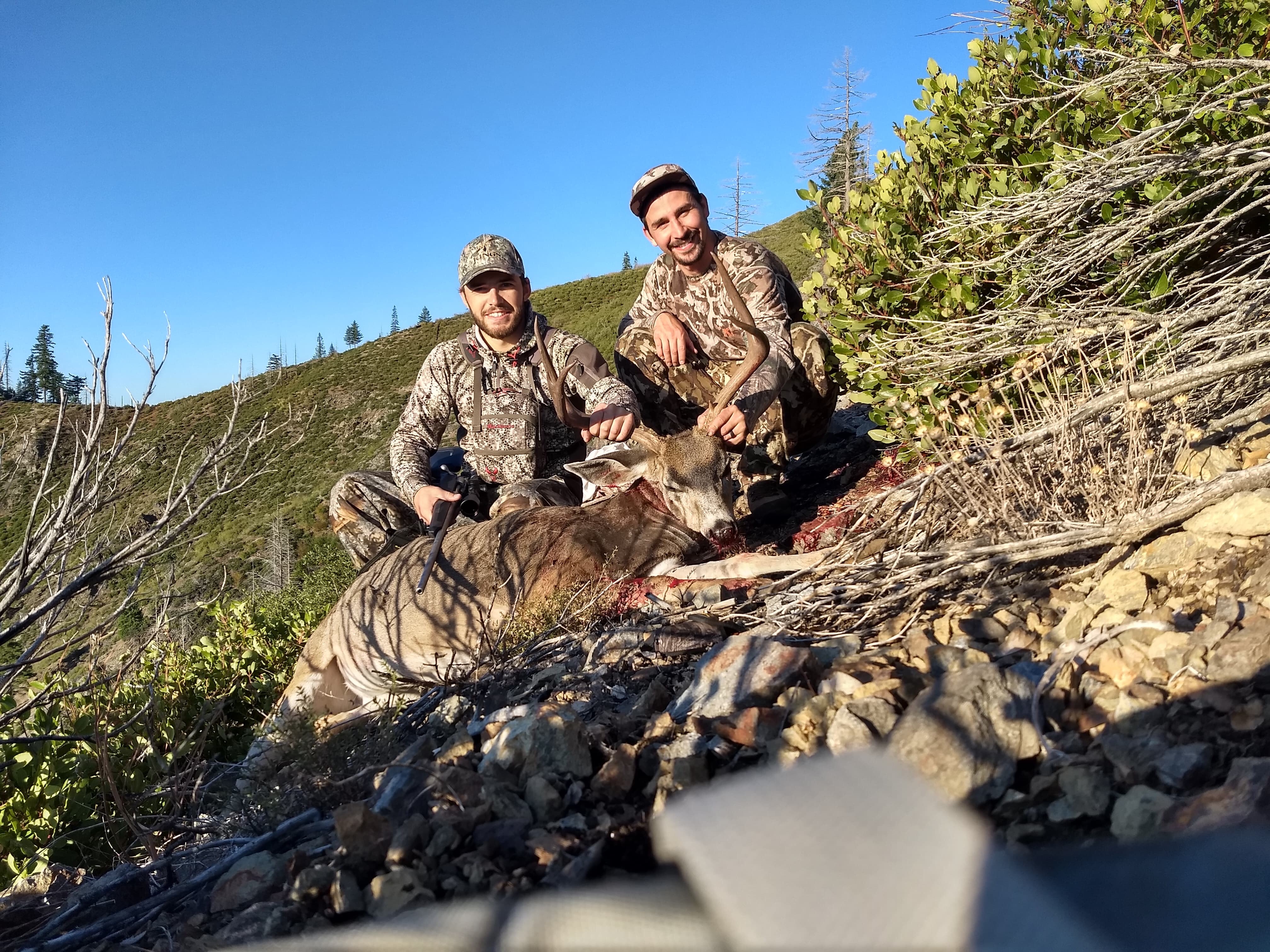 Columbian Blacktail Deer Hunting Guide - Trinity Fork Outfitters