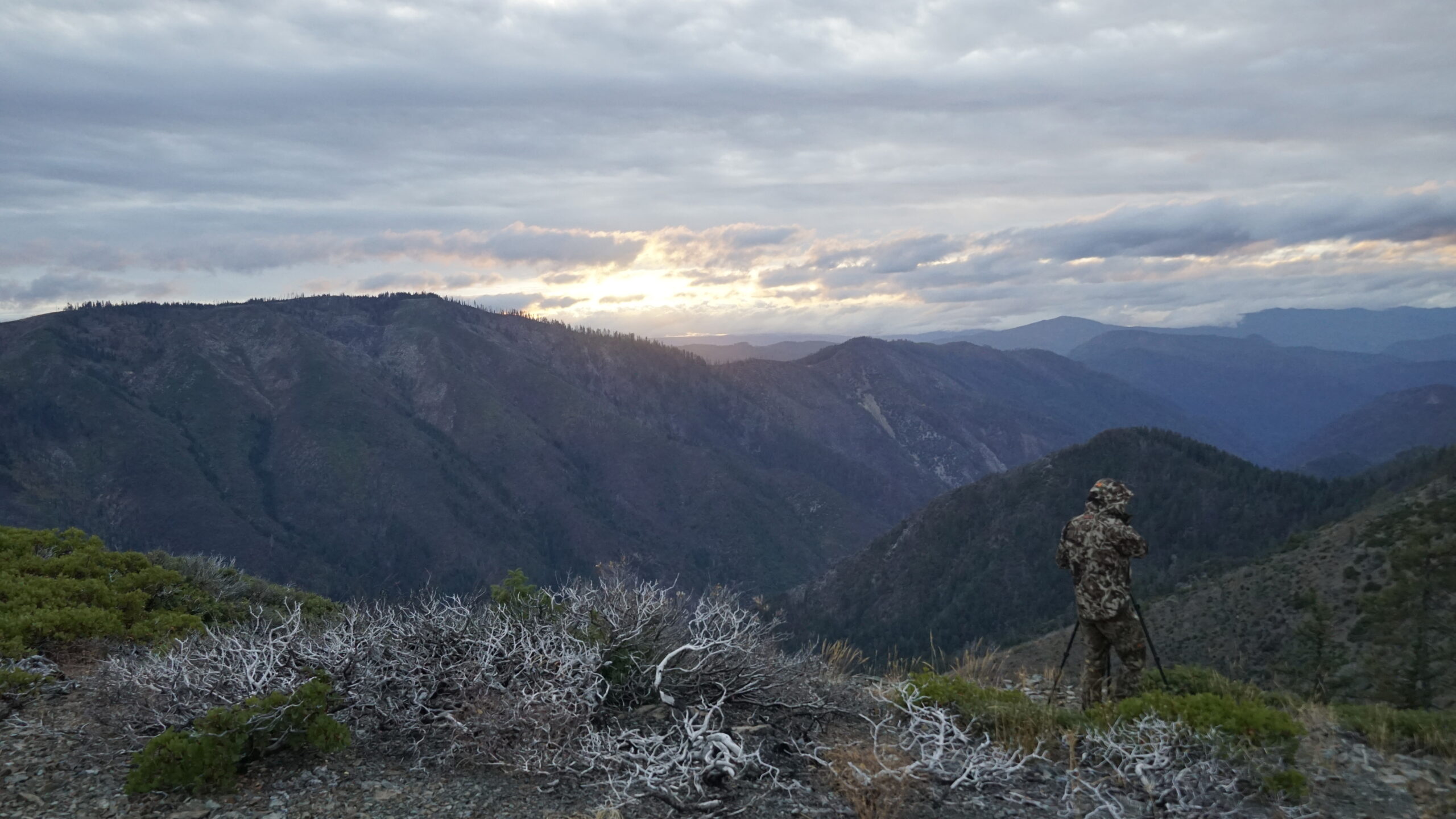 Columbian Blacktail Deer Hunting Guide - Trinity Fork Outfitters